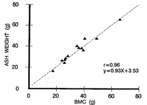 Technical Tips_setting03.jpg